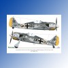 ED48002 - 1:48 Wulf Pack vol.1 - Focke-Wulf Fw 190A EXITO DECALS