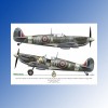 ED48003 - 1:48 Sexy Spitfires - Supermarine Spitfire LF Mk Vb - VIII - IXe EXITO DECALS